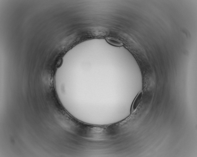 X0000110690176200907101156