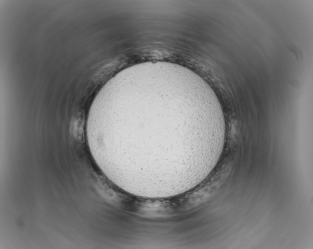 X0000110690177200907101156