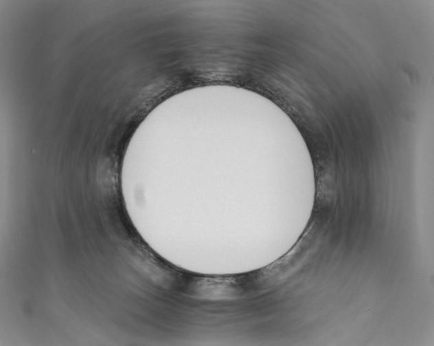 X0000110690179200907101156