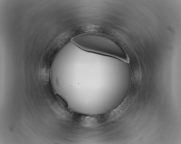 X0000110690180200907101156