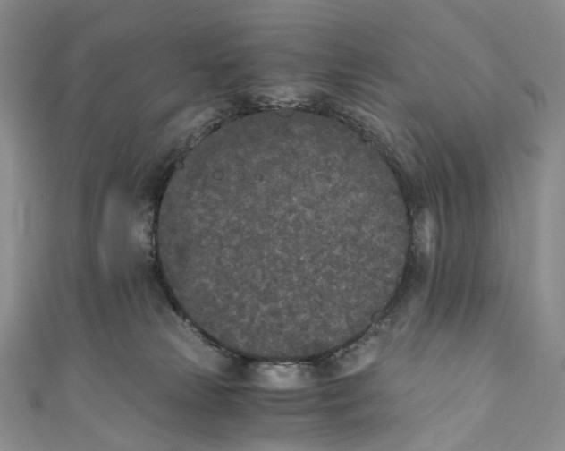 X0000110690181200907101156