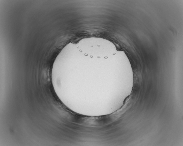 X0000110690182200907101156