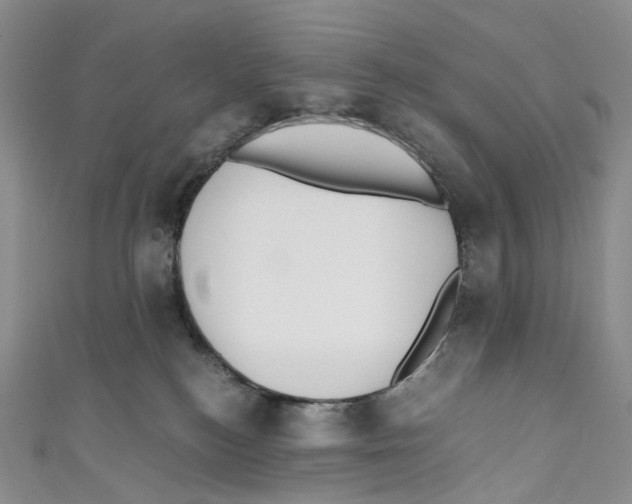 X0000110690184200907101156