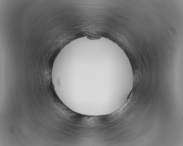 X0000110690186200907101156