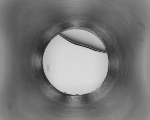 X0000110690188200907101156