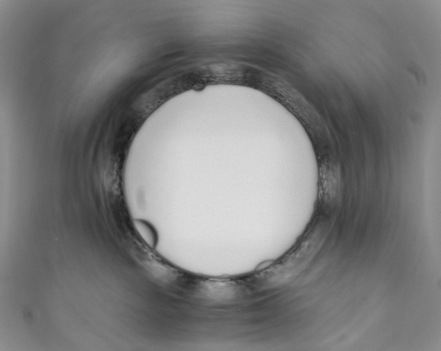 X0000110690189200907101156