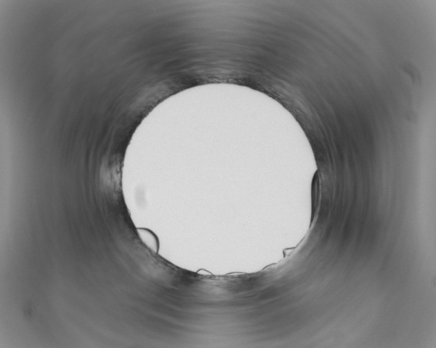 X0000110690190200907101156