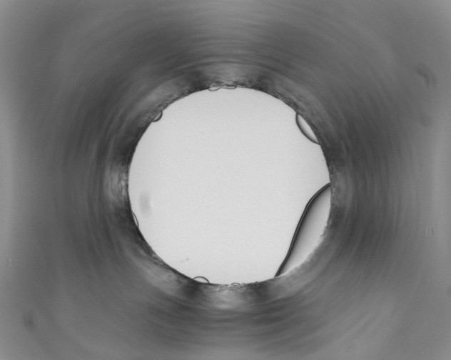 X0000110690191200907101156