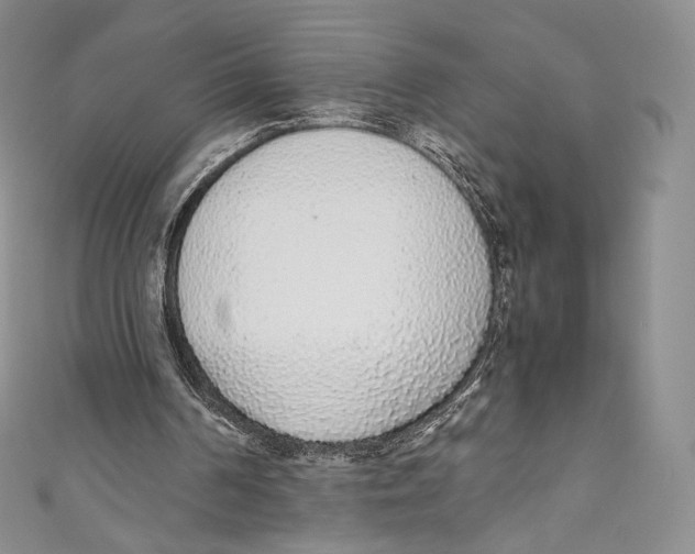 X0000110690194200907101156