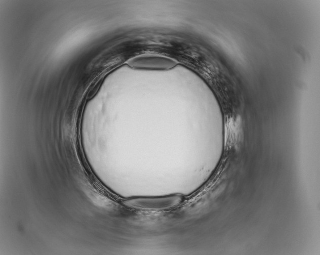 X0000110690195200907101156