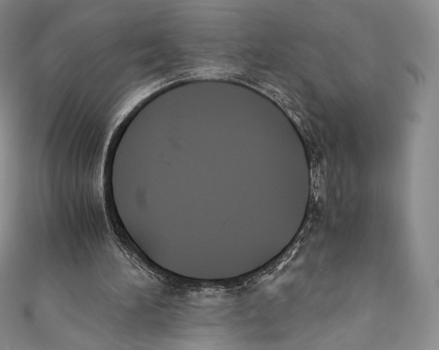 X0000110690196200907101156