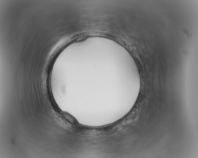 X0000110690197200907101156