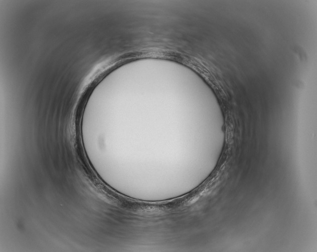 X0000110690198200907101156