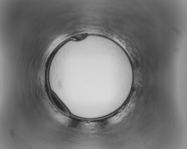 X0000110690199200907101156