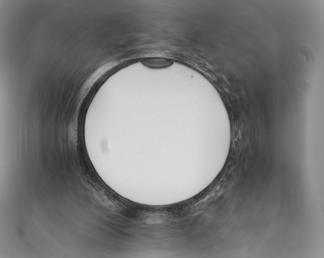 X0000110690200200907101156