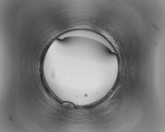 X0000110690201200907101156