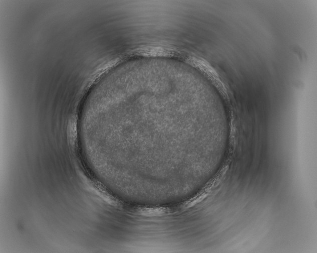 X0000110690202200907101156