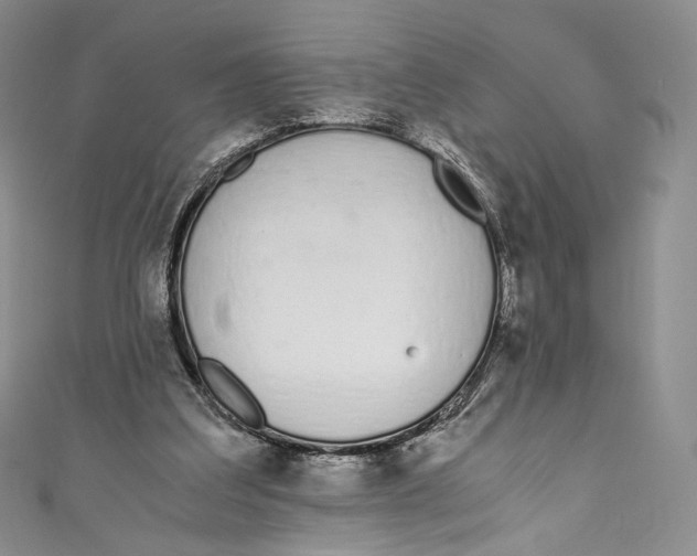 X0000110690203200907101156