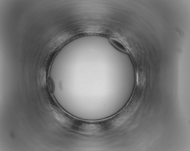 X0000110690205200907101156