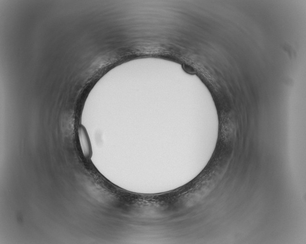 X0000110690207200907101156