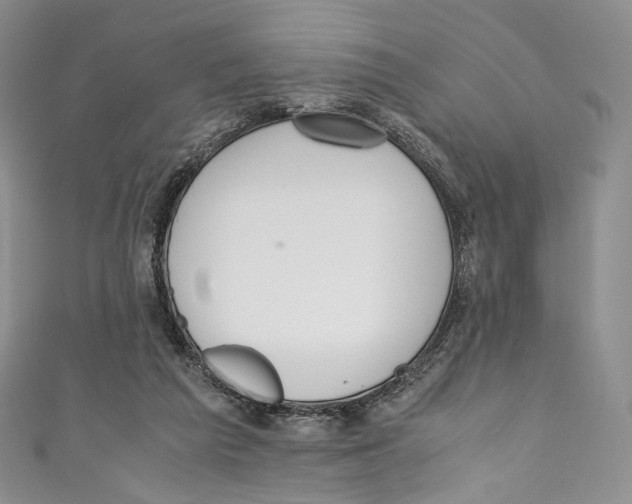 X0000110690209200907101155