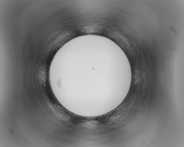 X0000110690210200907101155