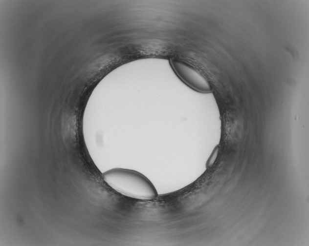 X0000110690211200907101155