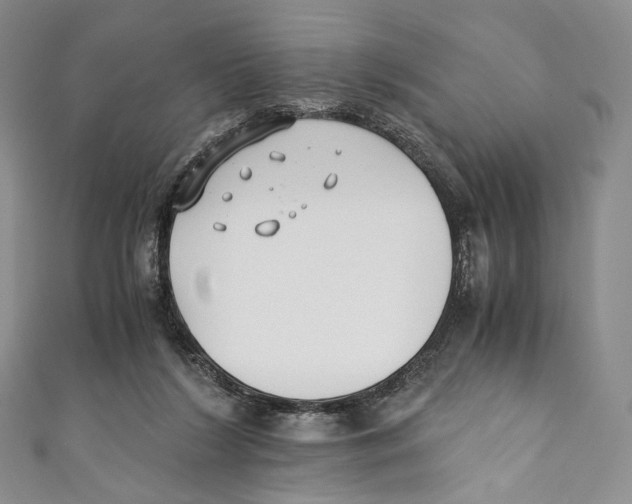 X0000110690212200907101155