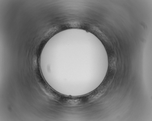 X0000110690213200907101155