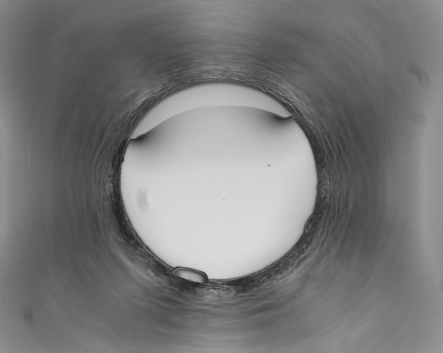 X0000110690215200907101155