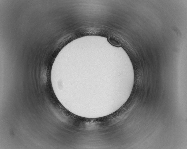 X0000110690216200907101155