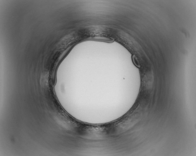 X0000110690217200907101155