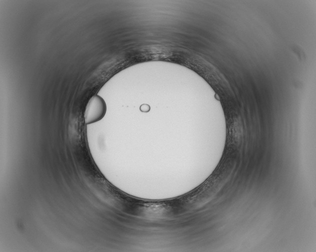 X0000110690218200907101155