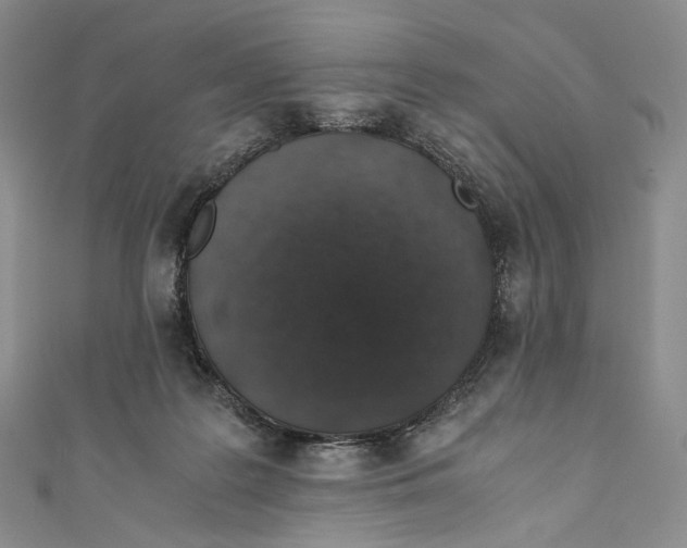 X0000110690219200907101155