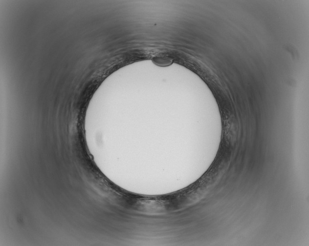 X0000110690221200907101155