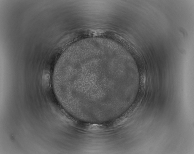 X0000110690222200907101155