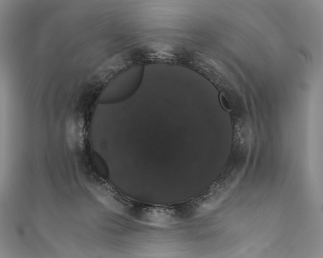 X0000110690223200907101155