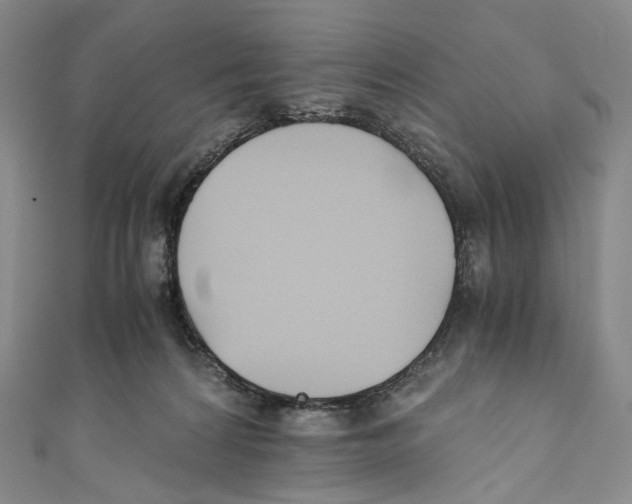 X0000110690224200907101155