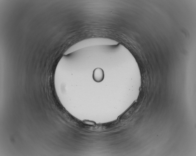 X0000110690225200907101155