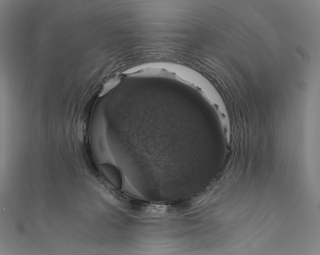 X0000110690227200907101155