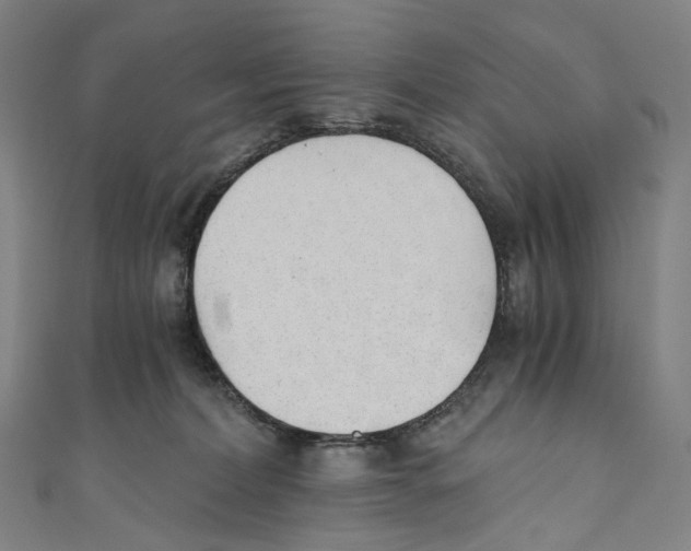 X0000110690228200907101155