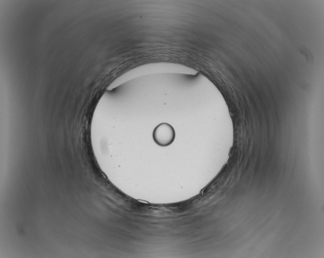 X0000110690229200907101155