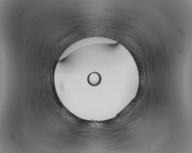 X0000110690233200907101155