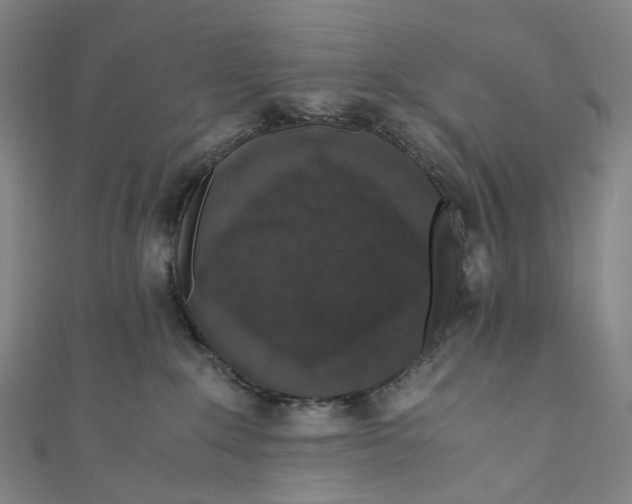 X0000110690235200907101155