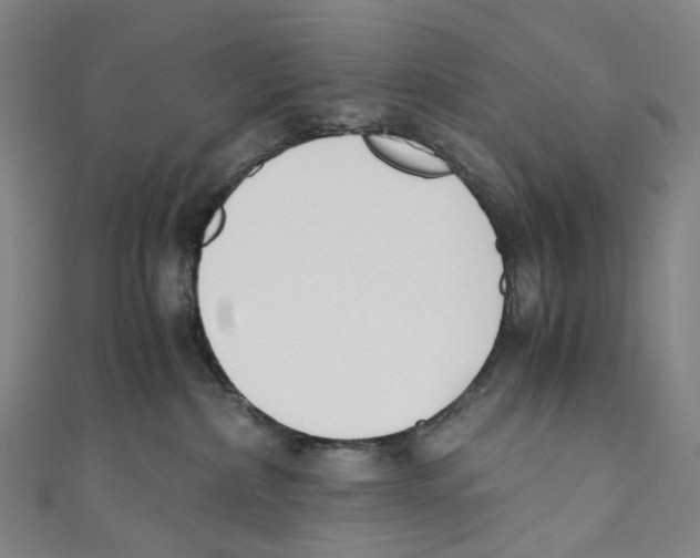 X0000110690236200907101155