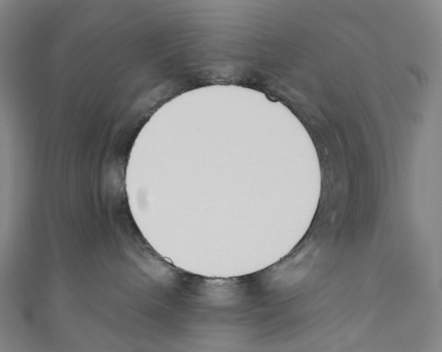 X0000110690240200907101155