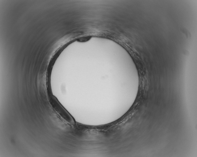 X0000110690244200907101154