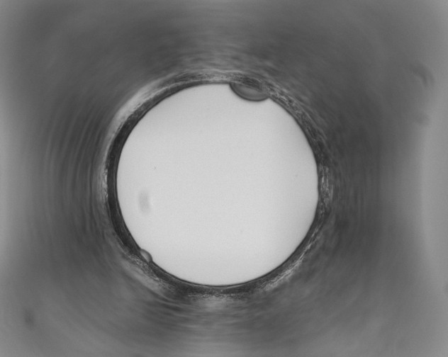 X0000110690246200907101154