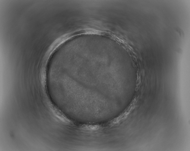 X0000110690247200907101154