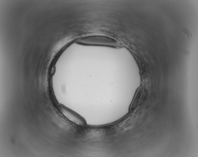 X0000110690248200907101154